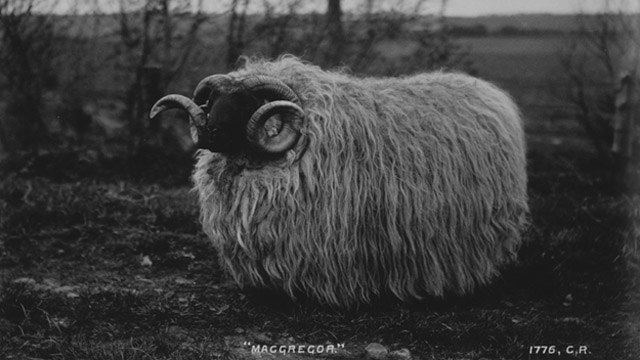 NAtional Galleries of Scotland,flickr commons picture